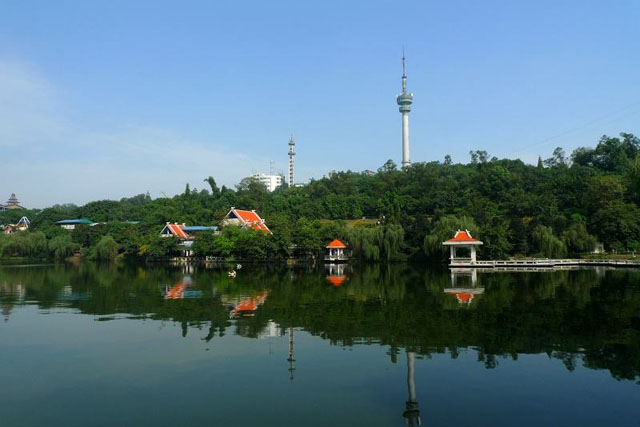 德赢·(VWIN)官方网站-AC米兰官方相助同伴